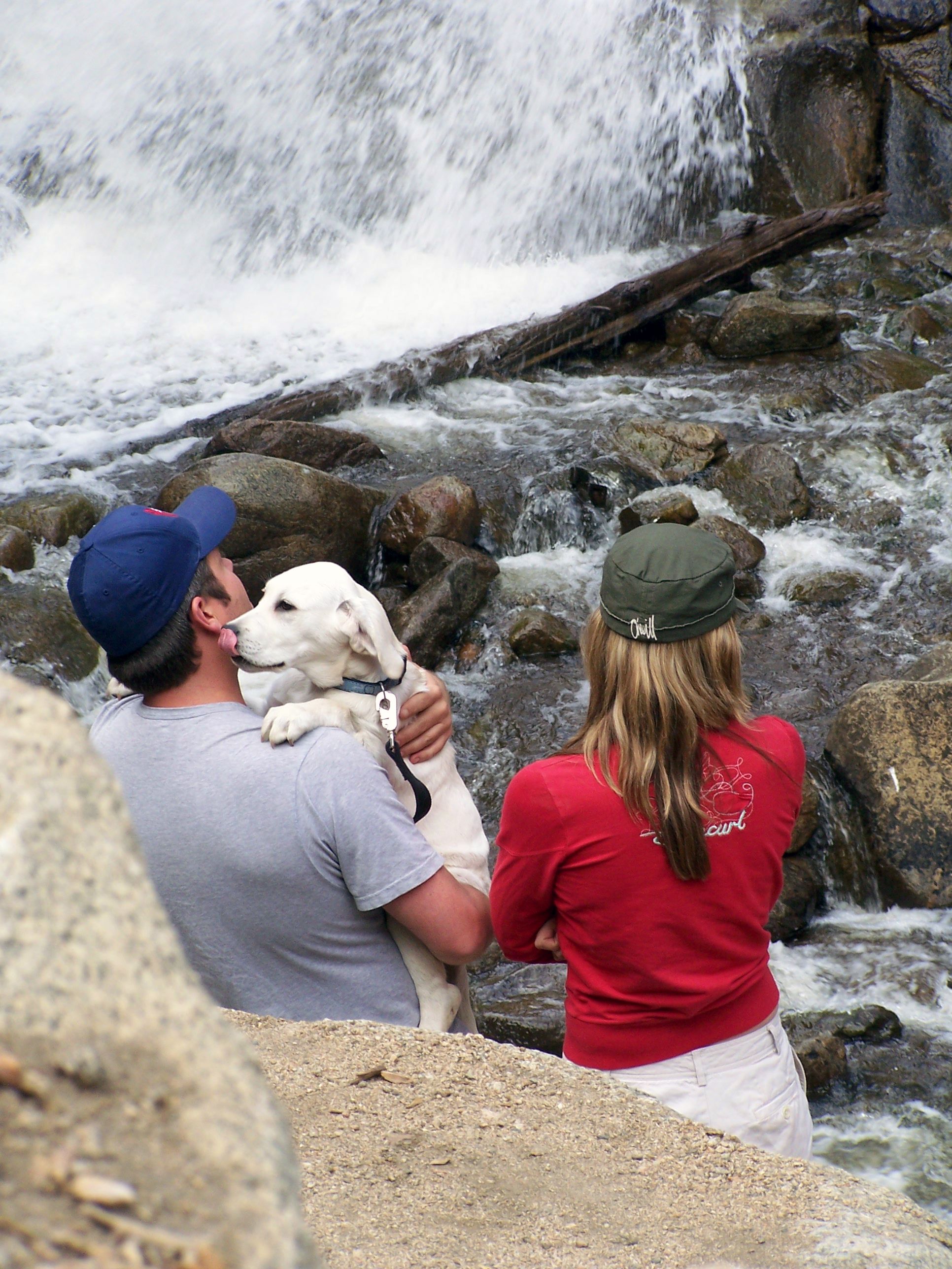 Pet Friendly photo Pet Friendly